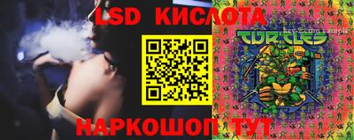 прущие крисы Кулебаки