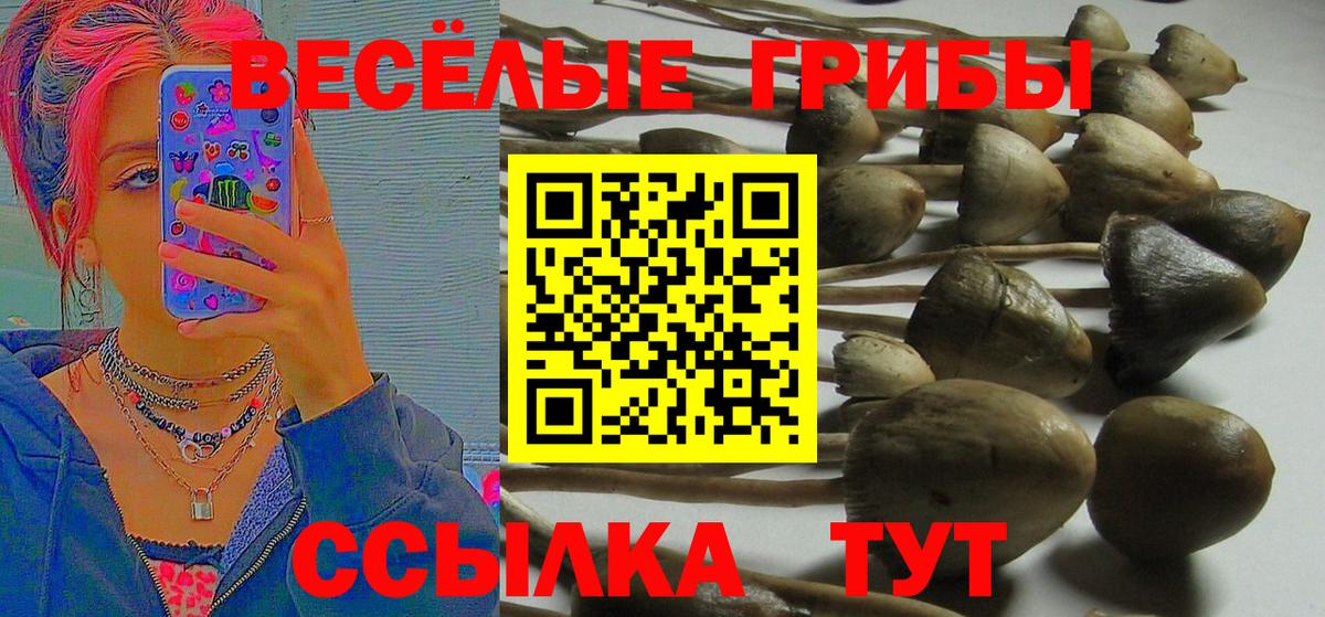 Галлюциногенные грибы прущие грибы Железноводск