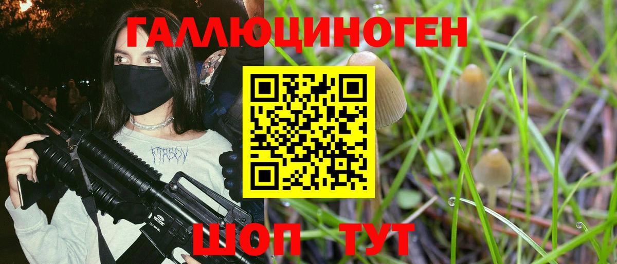 Галлюциногенные грибы Magic Shrooms  Галлюциногенные грибы Psilocybe  Железноводск  Вход с VPN 